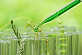 Aditivos verdes: como reduzir o impacto ambiental dos produtos
