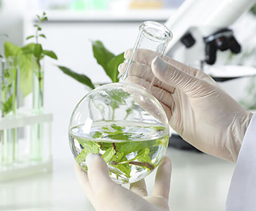 5 critérios para escolher o melhor plastificante para PVC para o seu projeto